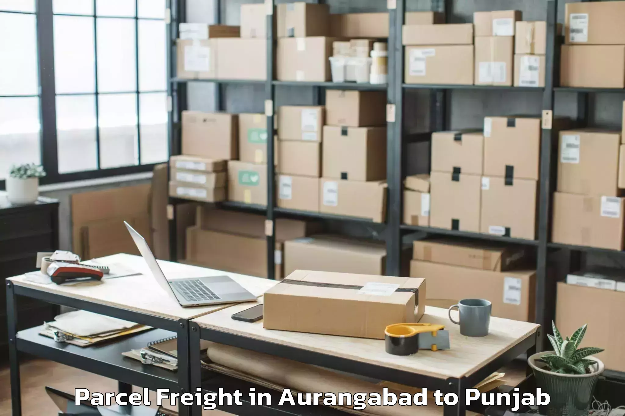 Quality Aurangabad to Gna University Phagwara Parcel Freight